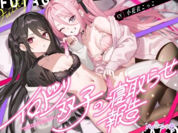 イロドリ双子の寝取らせ報告